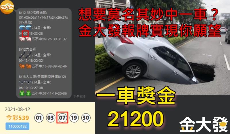 539報牌