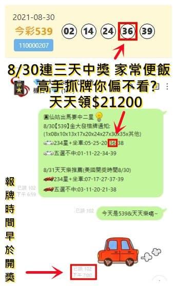 539報牌