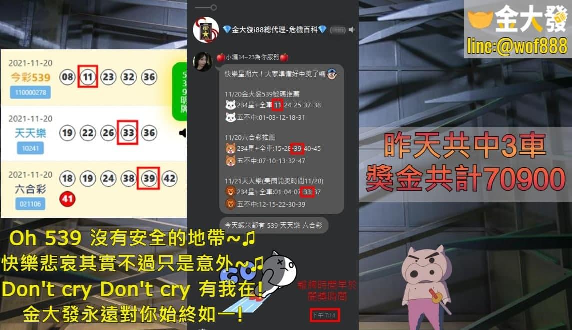 539報牌