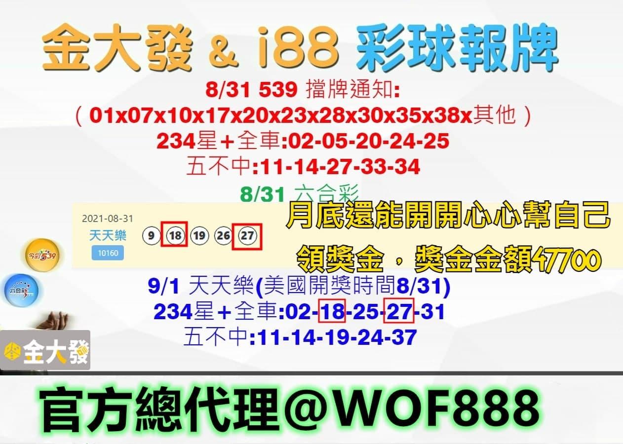 539報牌