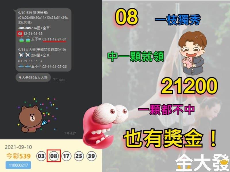 539報牌