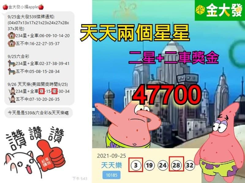 539報牌